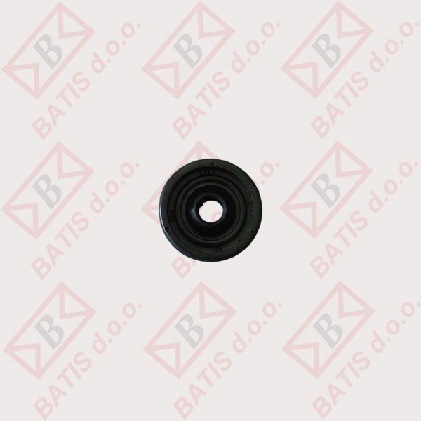 Slika SEM.  6-22-7  243094  AV10.01 03AT03