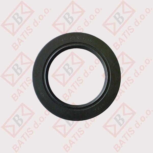 Slika SEM. 45-65-10