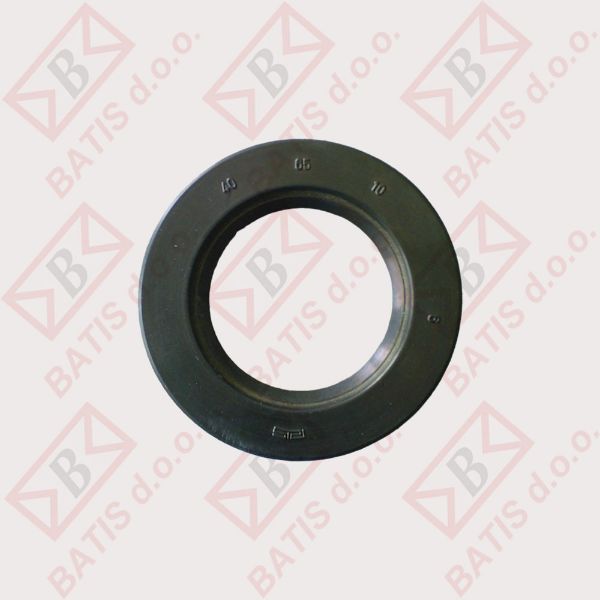 Slika SEM. 40-65-10