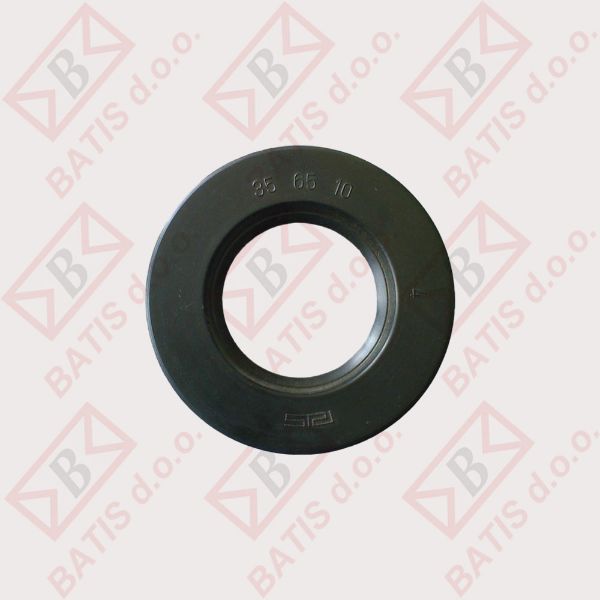 Slika SEM. 35-65-10