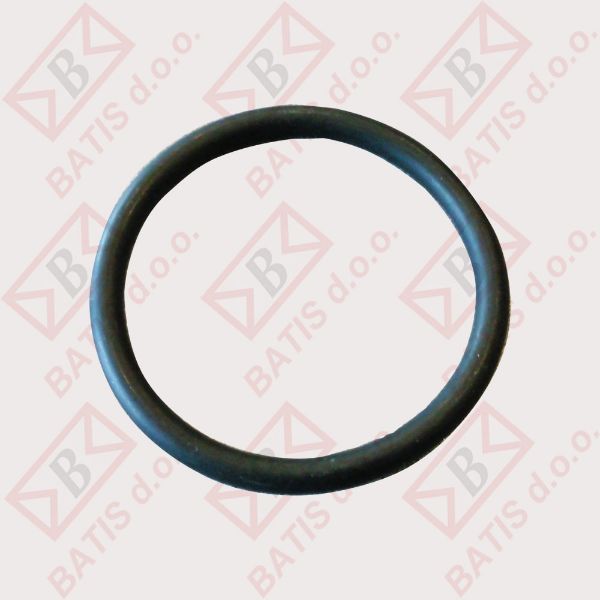 Slika BRTVA GRIJAČA LAINOX O-RING 56-66 ZAMJENA 510409 