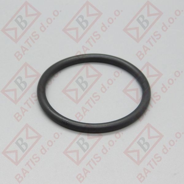 Slika O RING 39-46 GRIJAČA MYTHOS OR 144