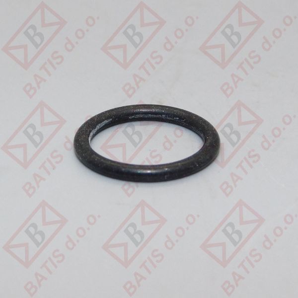 Slika DIHR 13017 BRTVA DIZNE  517030O RING 12,42-15,98