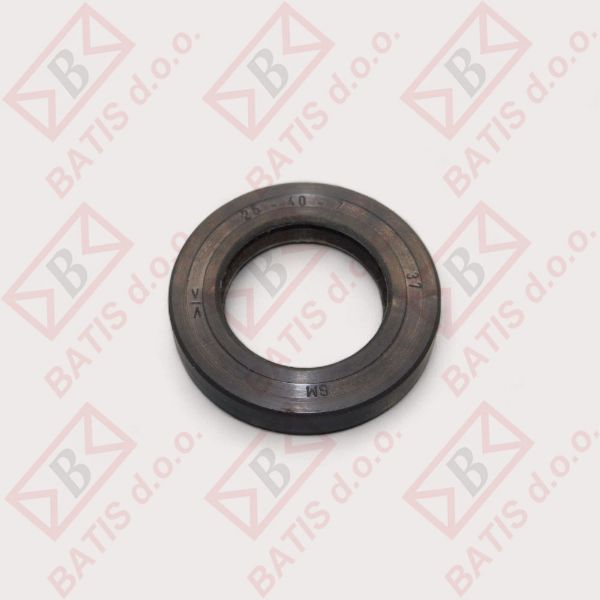 Slika SEM. 25-40-7