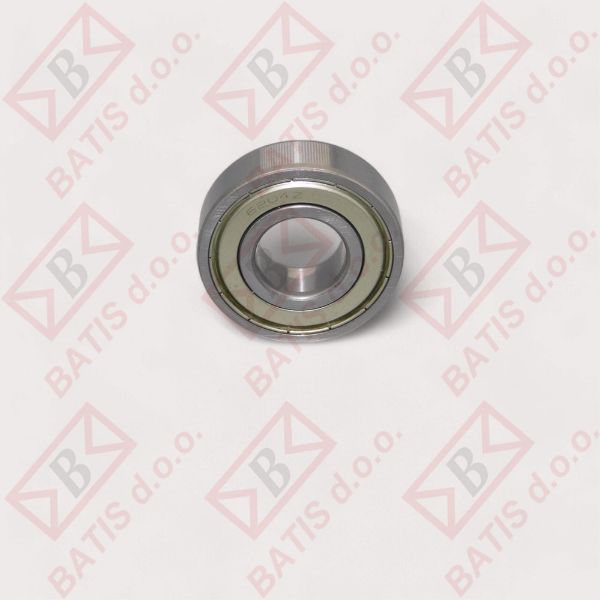 Slika LEZAJ 6204      100 G