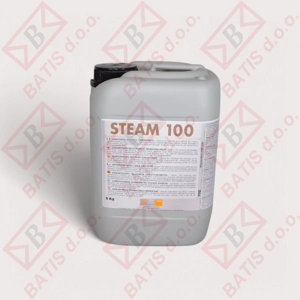 Slika STEAM 100 CLIMA 5/1 KONCENTRAT ZA ČIŠČENJE KLIME 5 KG