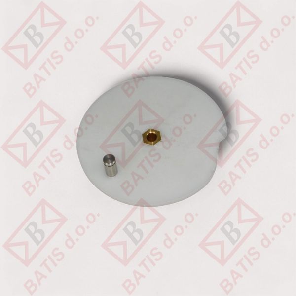 Slika * DISK MOTOREDUKTOR N55 E21,2581413043/0