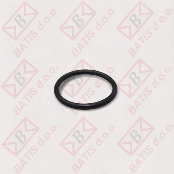 Slika SILANOS 904380 O-RING EPDM42-48